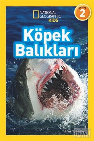 Köpek Balıkları (Seviye 2)